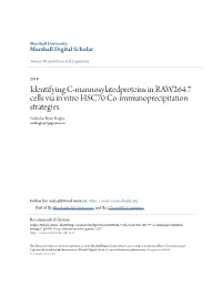 Identifying C-Mannosylatedproteins in RAW264.7 Cells Via in Vitro HSC70 Co-Immunoprecipitation Strategies Nicholas Ryan Kegley Nickkegley17@Gmail.Com