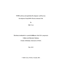 NUMB and Syncytiotrophoblast Development and Function: Investigation Using Bewo Choriocarcinoma Cells by Julie Carey This Thesis