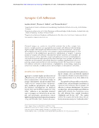 Synaptic Cell Adhesion