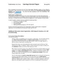 Copenhagen Semester Program Spring 2018