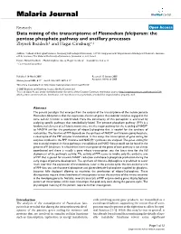 Data Mining of the Transcriptome of Plasmodium Falciparum: the Pentose Phosphate Pathway and Ancillary Processes Zbynek Bozdech1 and Hagai Ginsburg*2