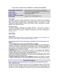 Final Project Completion Report