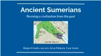 Ancient Sumerians