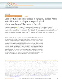 Loss-Of-Function Mutations in QRICH2 Cause Male Infertility with Multiple Morphological Abnormalities of the Sperm ﬂagella