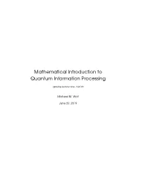 Mathematical Introduction to Quantum Information Processing