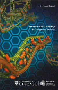 Promise and Possibility IME Begins to Deliver