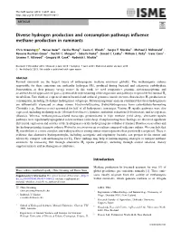 Diverse Hydrogen Production and Consumption Pathways Influence