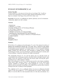 Ecology of Pathogenic E.Coli - Stefano Morabito