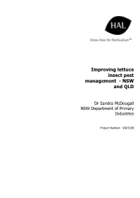 Improving Lettuce Insect Pest Management - NSW and QLD