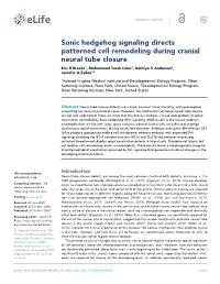 Sonic Hedgehog Signaling Directs Patterned Cell Remodeling During