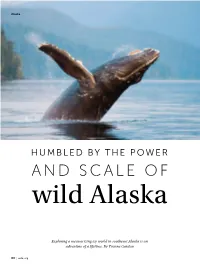 The Power and Scale of Wild Alaska