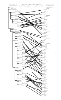 Comparison of Cronquist and Phylogeneticalt