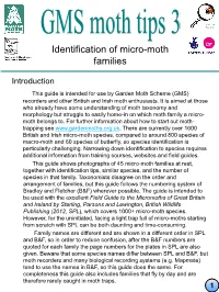 Identification of Micro-Moth Families