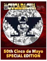 Cinco Layout 2020