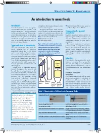 An Introduction to Anaesthesia