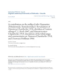 Polydesmida: Xystodesmidae): Revalidation of Mimuloria Chamberlin 1928; Identities of Fontaria Oblonga C