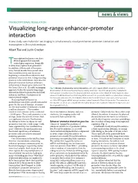 Visualizing Long-Range Enhancer–Promoter Interaction
