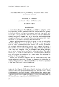 SENSORY PLASTICITY Applications to a Vision Substitution Sustern