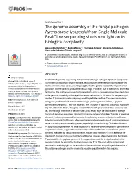 The Genome Assembly of the Fungal Pathogen Pyrenochaeta Lycopersici from Single-Molecule Real-Time Sequencing Sheds New Light on Its Biological Complexity