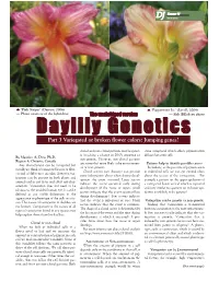 Daylily Genetics Part 3 Variegated Or Broken Flower Colors: Jumping Genes?