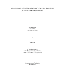 [Thesis Title Goes Here]