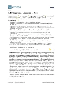 A Phylogenomic Supertree of Birds