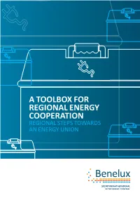 A TOOLBOX for REGIONAL ENERGY COOPERATION REGIONAL STEPS TOWARDS an ENERGY UNION Publisher J.P.R.M
