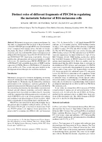 Distinct Roles of Different Fragments of PDCD4 in Regulating the Metastatic Behavior of B16 Melanoma Cells