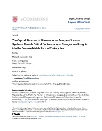 The Crystal Structure of Nitrosomonas Europaea Sucrose Synthase Reveals Critical Conformational Changes and Insights Into the Sucrose Metabolism in Prokaryotes