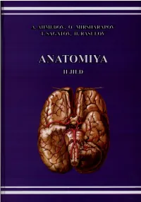 Anatom Iya Ешн П 92