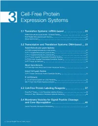 Cell-Free Protein Expression Systems
