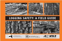 Logging Safety: a Field Guide
