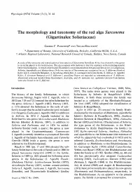 The Morphology and Taxonomy of the Red Alga Sarconema (Gigartinales: Solieriaceae)