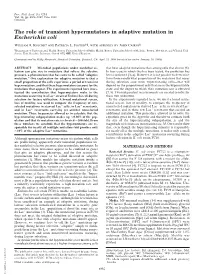 The Role of Transient Hypermutators in Adaptive Mutation in Escherichia Coli