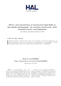 And Autoxidation of Unsaturated Algal Lipids in the Marine Environment