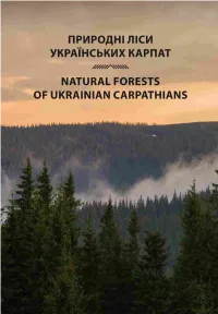 Природнi Лiси Українських Карпат Natural Forests Of