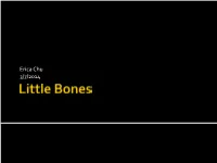 Little Bones the Sesamoids