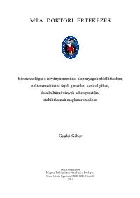 Mta Doktori Értekezé Ss