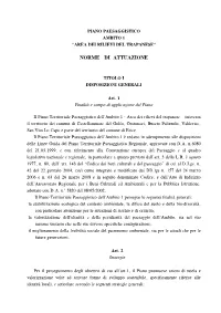 Norme Di Attuazione