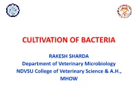 Cultivation of Bacteria