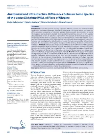 Phcogj.Com Anatomical and Ultrastructure Differences Between