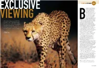 Why? Essential Botswana Why?