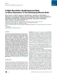 A High-Resolution Spatiotemporal Atlas of Gene Expression of the Developing Mouse Brain