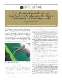 First Report of Cannibalism in The