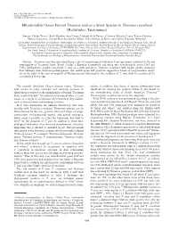 Reduviidae: Triatominae)