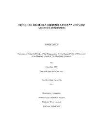 Species Tree Likelihood Computation Given SNP Data Using Ancestral Configurations