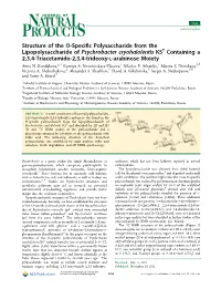 Structure of the O‑Specific Polysaccharide from The