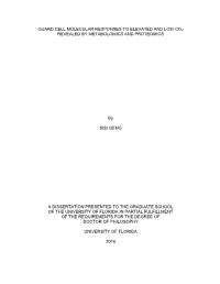 University of Florida Thesis Or Dissertation Formatting