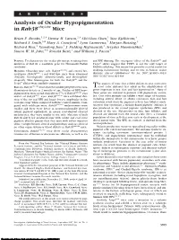 Analysis of Ocular Hypopigmentation in Rab38cht/Cht Mice