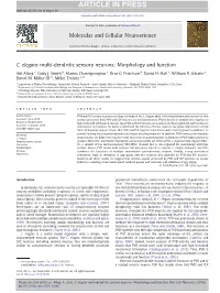 C. Elegans Multi-Dendritic Sensory Neurons: Morphology and Function